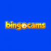 Bingocams