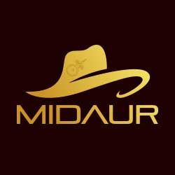 Midaur-Casino250x250