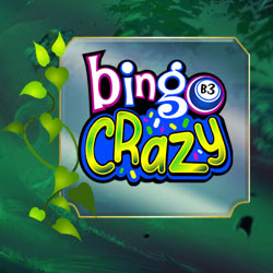 Bingo Crazy